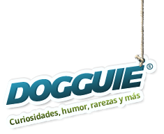Dogguie Dogguie